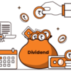 dividend payout vector